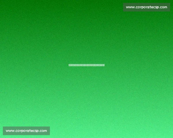 蕾妮姐忆酋长球场岁月：北伦敦的绿茵回声里藏着一座城