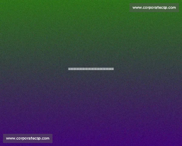 从徐晓东对决咏春看传统武术与现代格斗的真实碰撞与反思争议启示