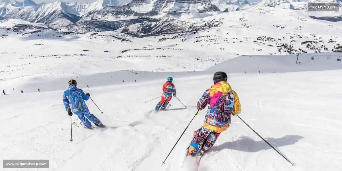 为什么选择我们