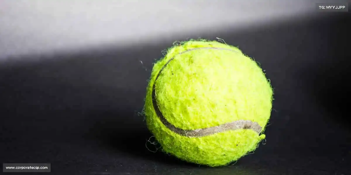 我们的核心竞争力